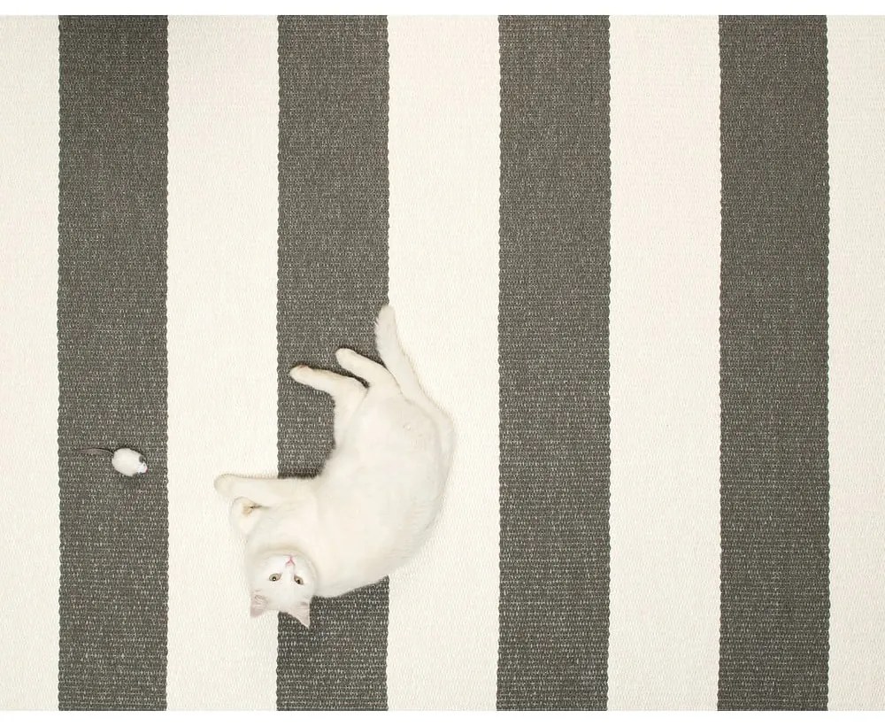 Антрацитен и кремав килим за открито и закрито 140x180 cm Bob Charcoal Linen – Pappelina