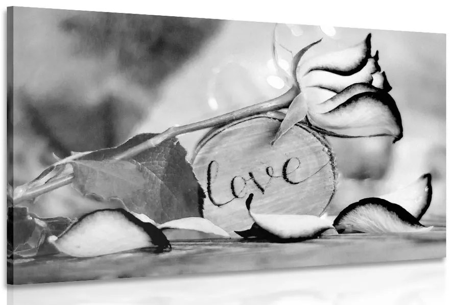 Картина на платно – Романтично признание в черно-бяло Love