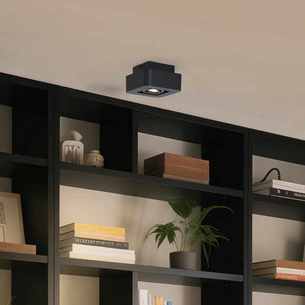 Заоблен повърхностно монтиран прожектор черен, въртящ се и накланящ се - Dox