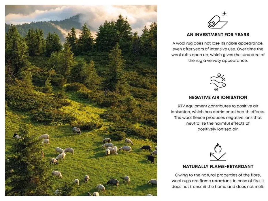 Кремав вълнен килим 240x340 cm Calisia M Smooth – Agnella