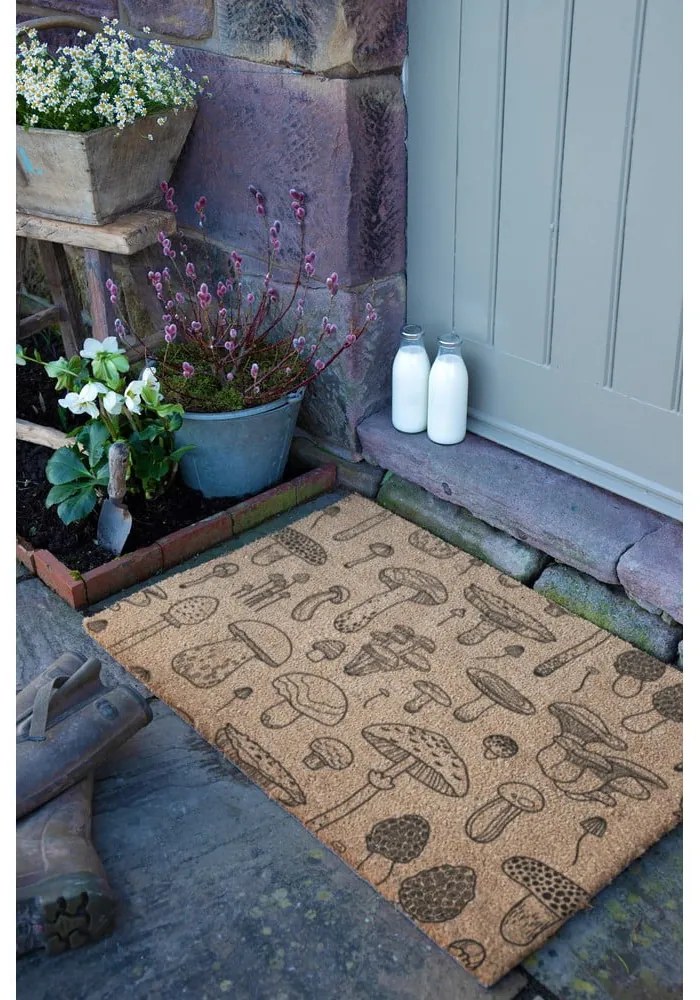 Изтривалка от кокосови влакна 40x60 cm Mushrooms – Artsy Doormats