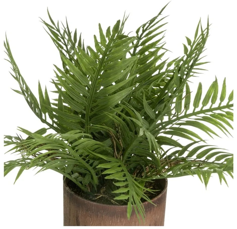 Изкуствени растения в комплект от 2 бр. (височина 22 cm) – Casa Selección