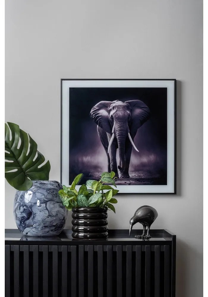 Картина 50x50 cm Elephant - PT LIVING