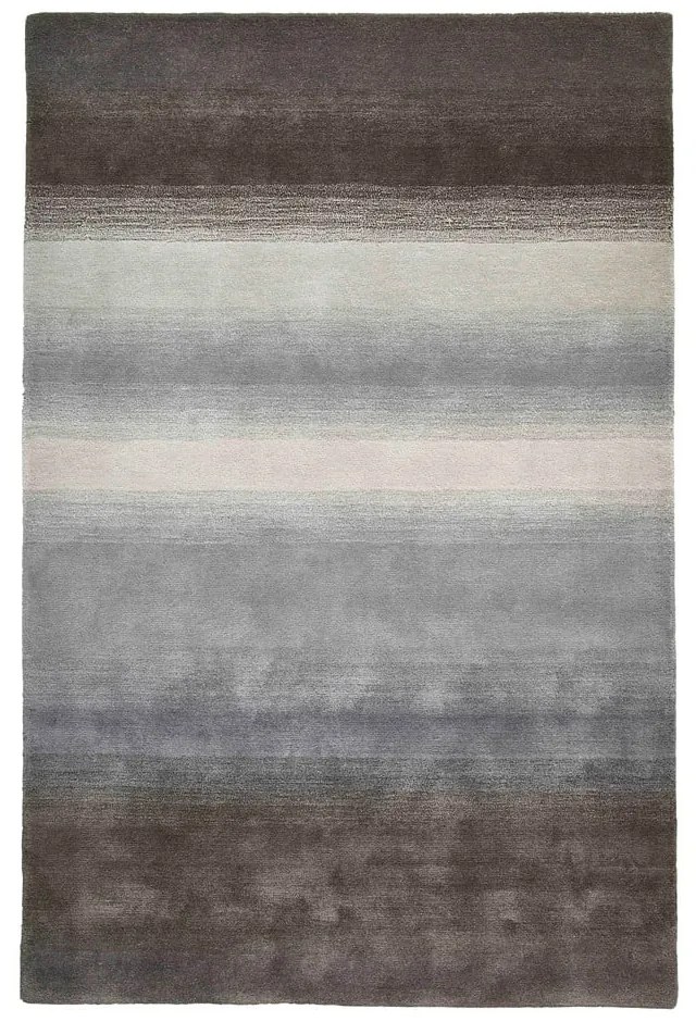 Сив вълнен килим 230x150 cm Elements - Think Rugs