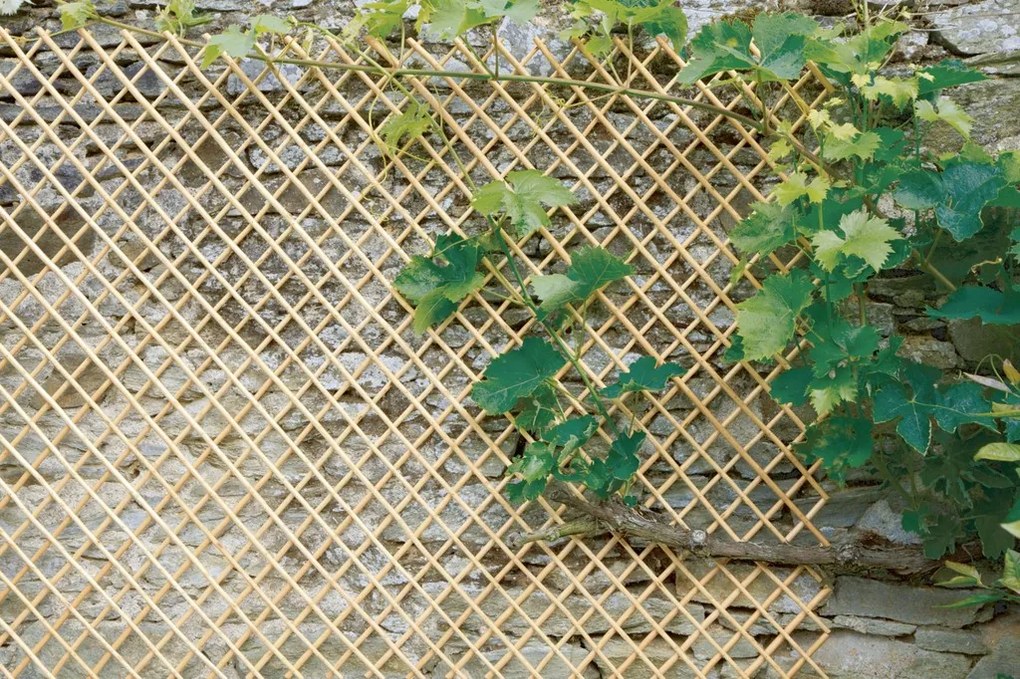 Nortene - Плетена решетка WICK TRELLIS - 1 х 2м
