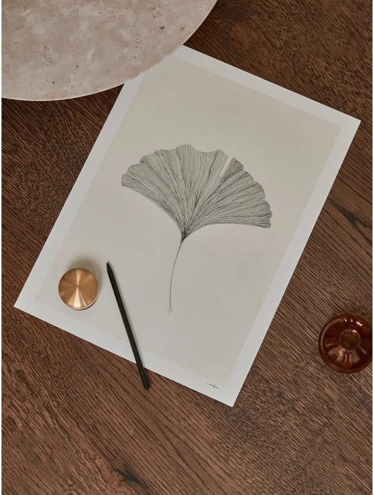 Постер 50x70 cm Ginkgo Leaf – Ana Frois – The Poster Club