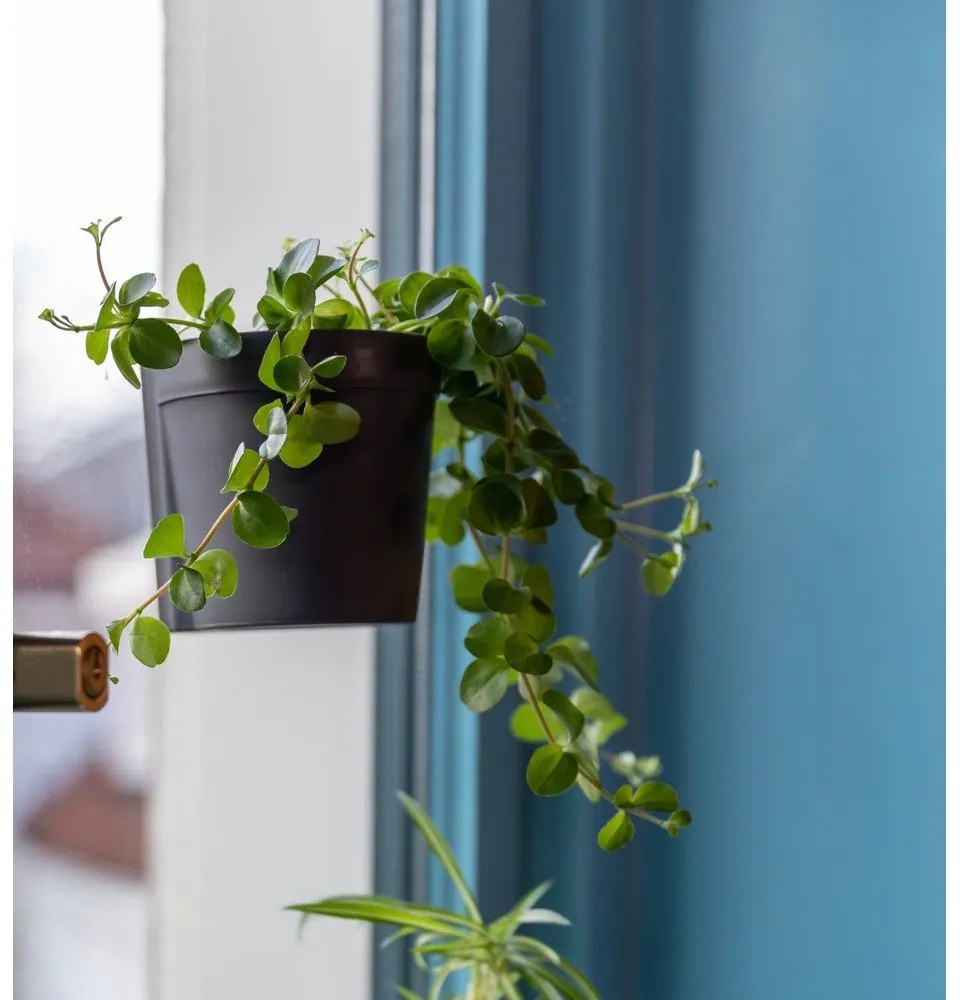 Пластмасови висящи саксии в комплект от 2 броя ø 10 см - Esschert Design