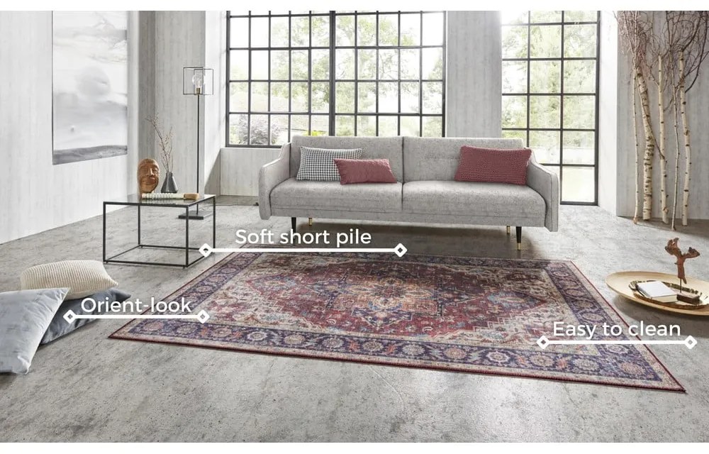 Червен и лилав килим , 120 x 160 cm Anthea - Nouristan