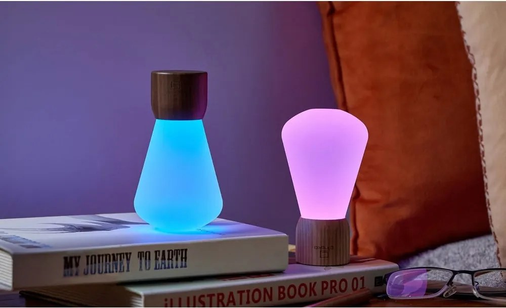 Настолна лампа с възможност за затъмняване в естествен цвят (височина 13 см) Pentagon - Gingko