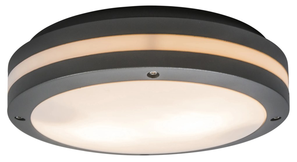 Стенна и таванна лампа тъмно сива 2 светлини IP54 - Glow