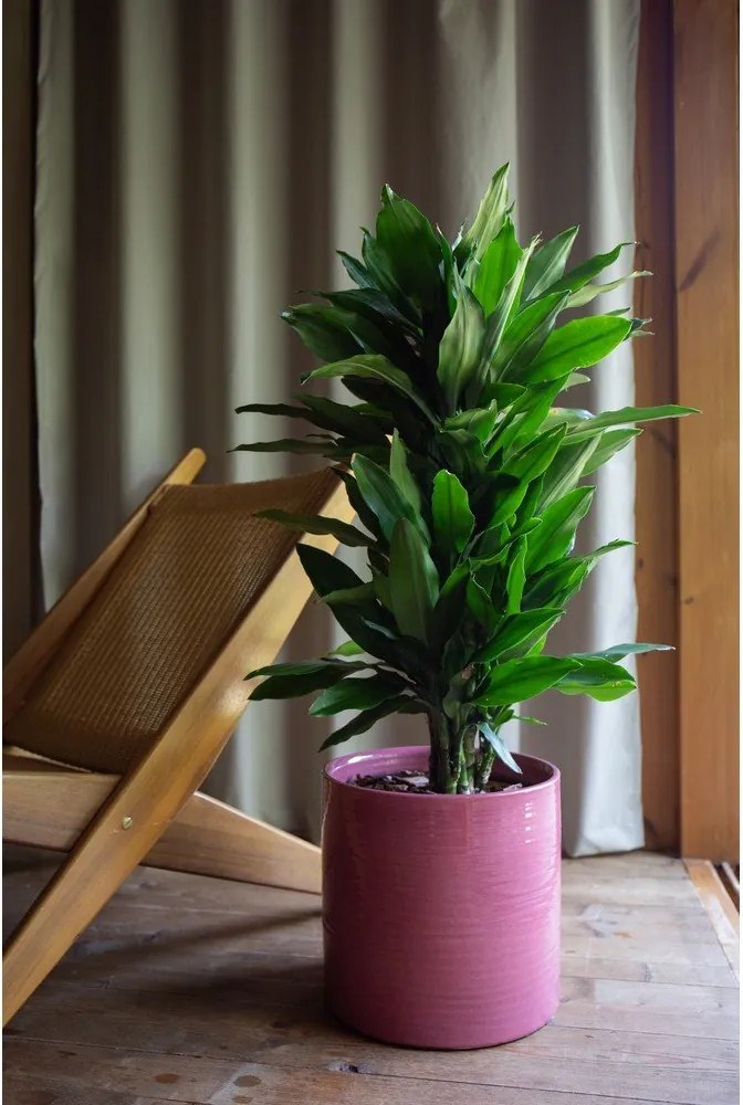 Керамично ръчно изработено покритие за кашпа ø 25 cm Fortuna – Artevasi