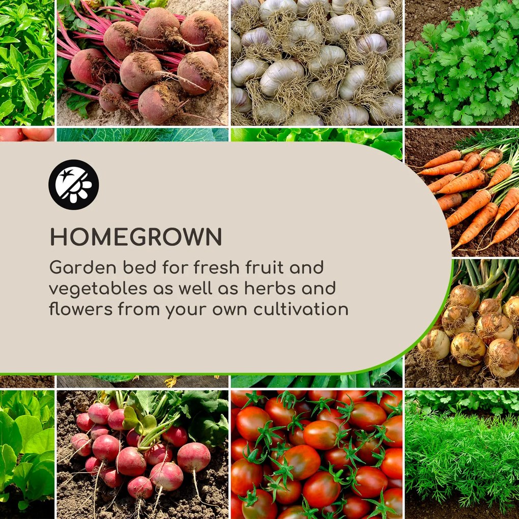 Blumfeldt Nova Grow, градинска леха, 195 x 91 x 100 см, WPC, дървен дизайн, бял