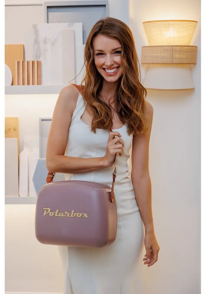 Кафява хладилна чанта 6 l Classic Gold – Polarbox