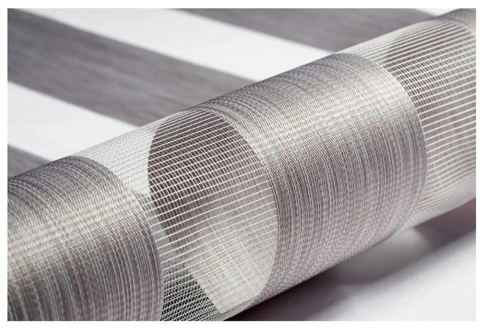 Кафяво-сива ролетна щора ден и нощ 97x150 cm Zebra Silvalin – Gardinia