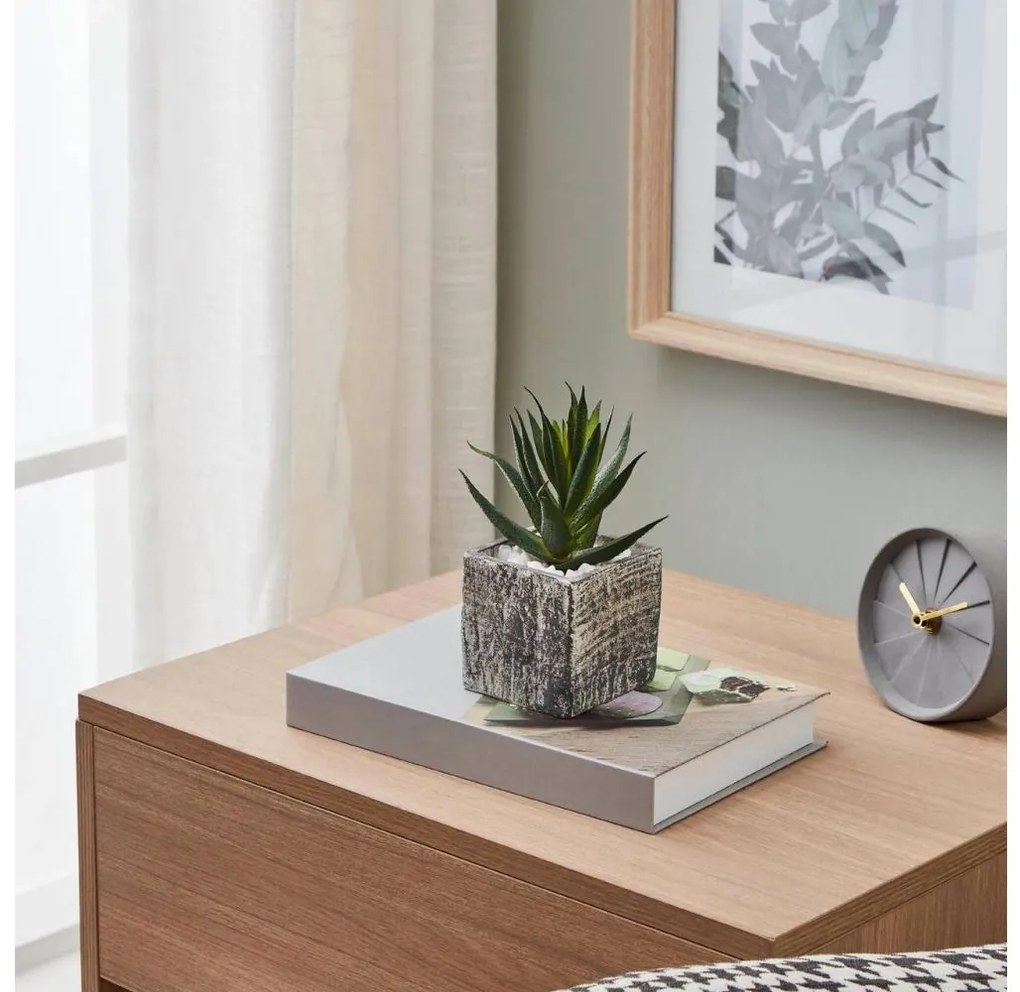 Eglo 428008 - Изкуствено растение CHITOSE 13x9,5 см, сукулент в саксия