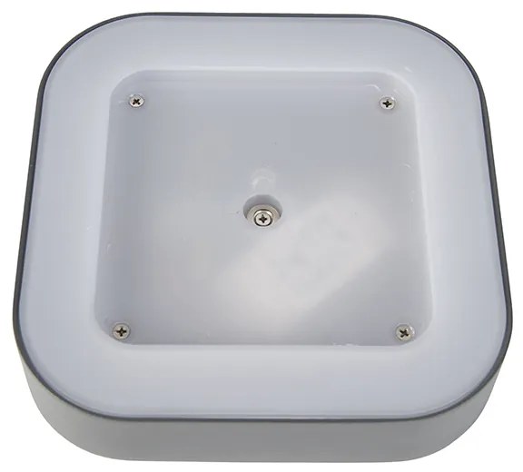 Стенна и таванна лампа сива квадратна IP54 - Ariel