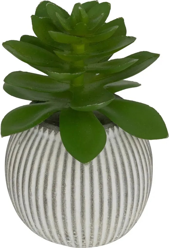 Изкуствено растение atmosphera Ubi Succulent, 7 cm, Различни видове