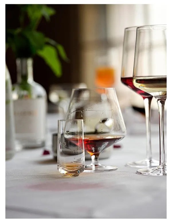 Чаши за ликьор в комплект от 2 броя 450 ml Rocks - Zone