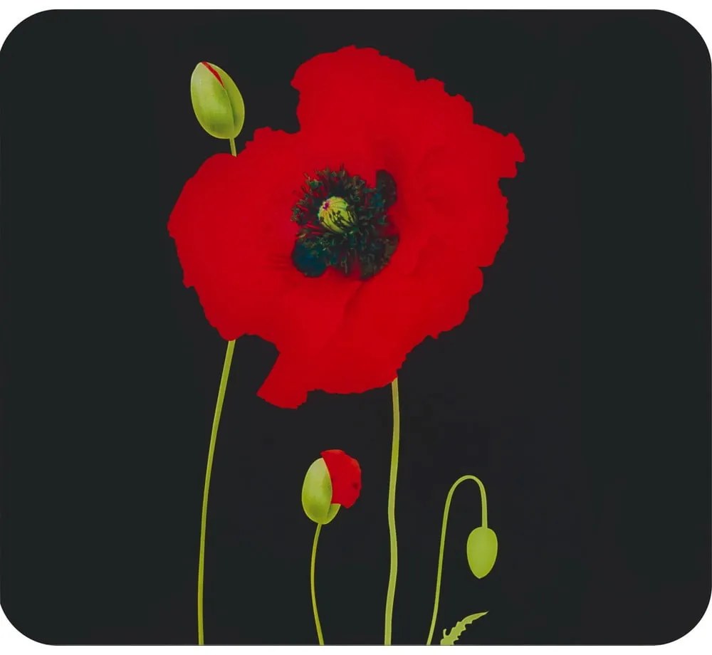 Капак за стена на готварска печка от закалено стъкло 50x56 cm Poppy - Maximex