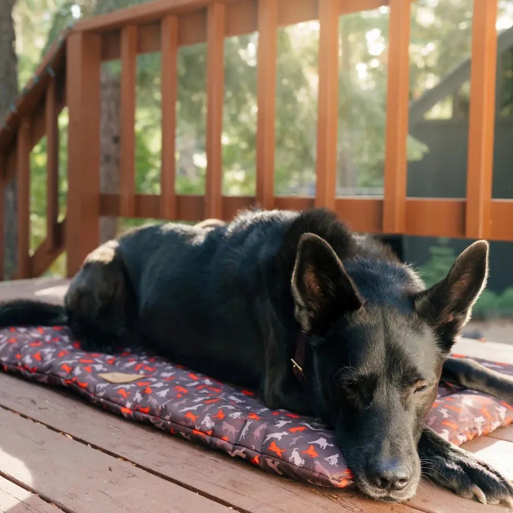 Кафяво легло за пътуване за куче 50x75 cm Outdoor Chill Pad Mocha M – P.L.A.Y.