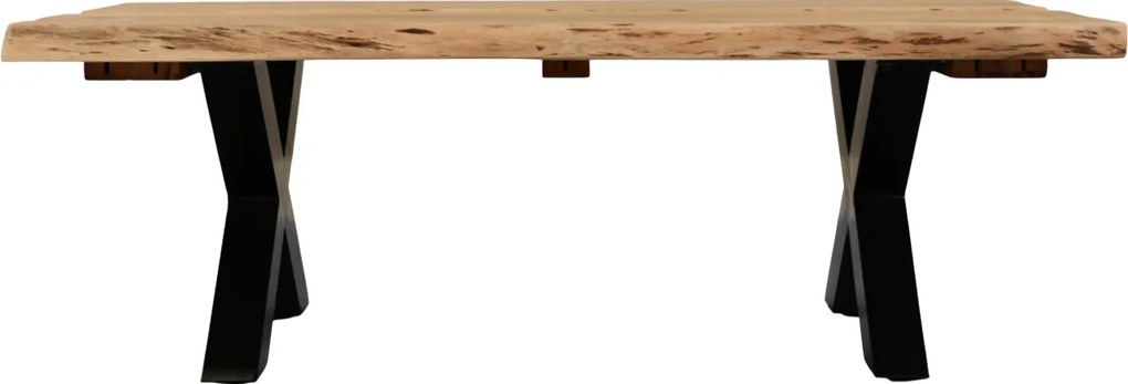 Холна маса Dalma