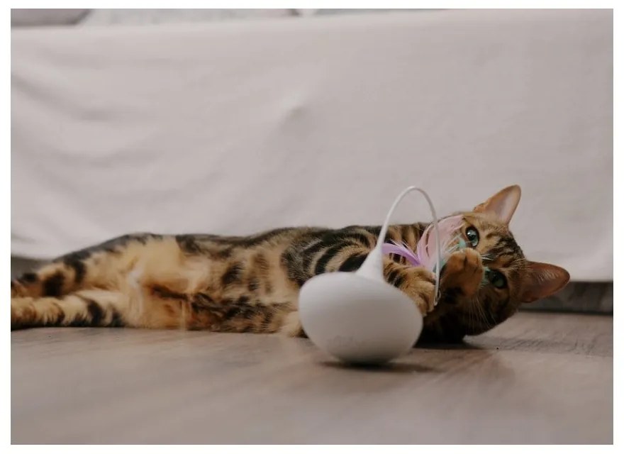 Котешка играчка Epic Pet Interactive – Plaček Pet Products