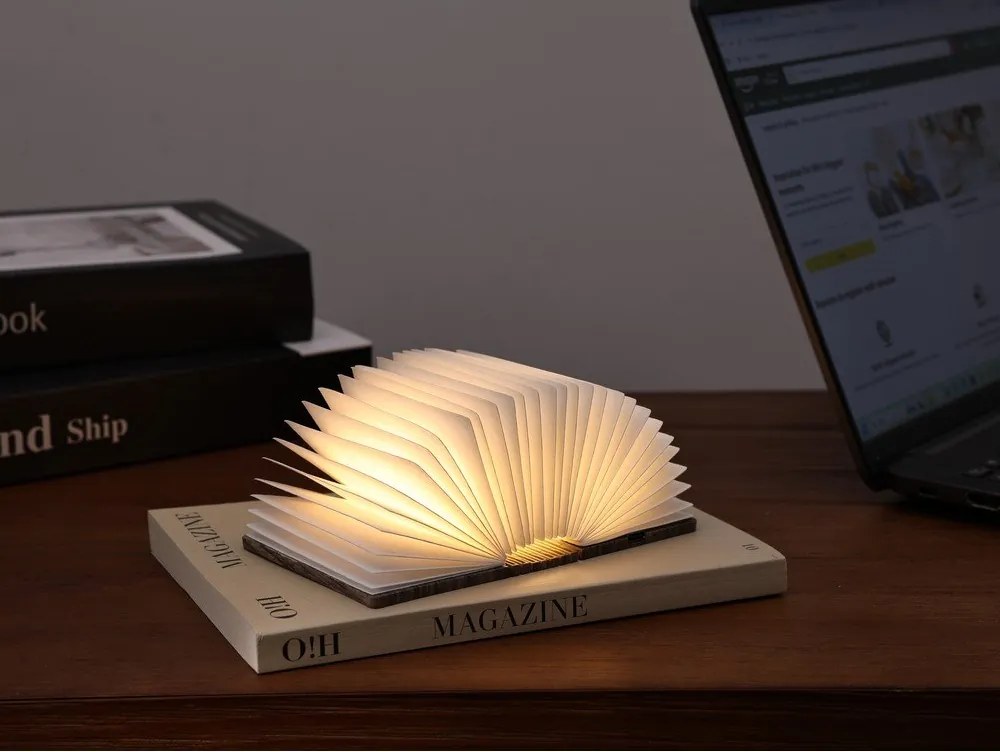 Черна преносима светлинна декорация с USB BookLight – Gingko