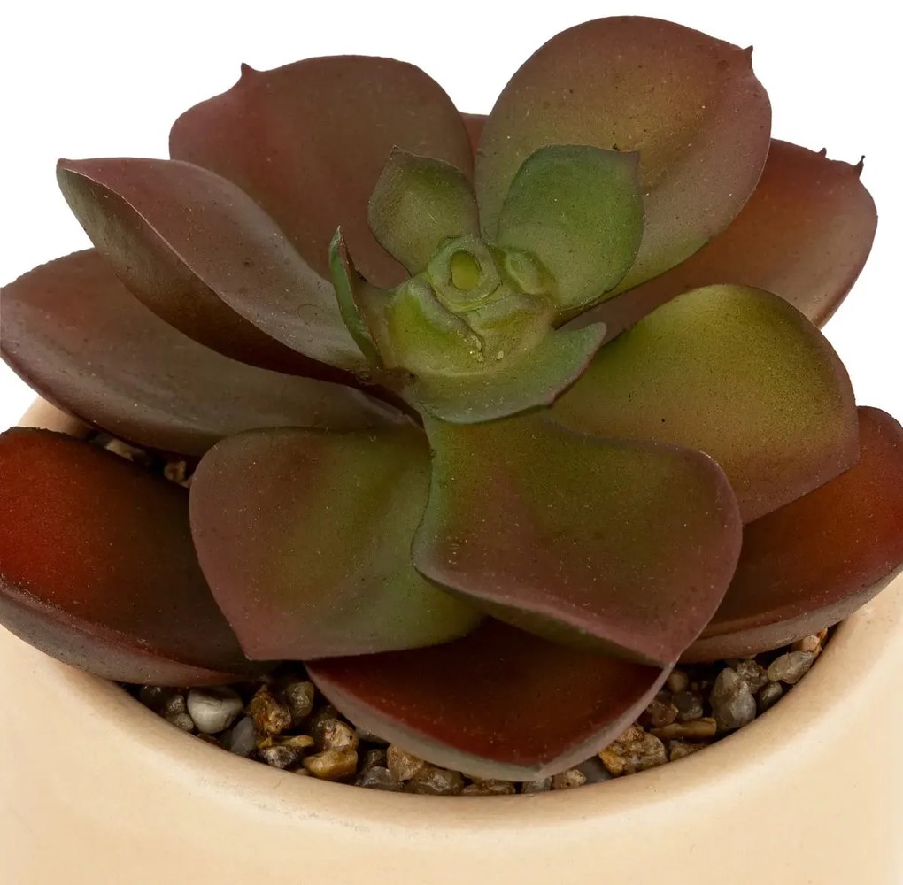 Изкуствено растение atmosphera Nils, 12 cm, Различни видове