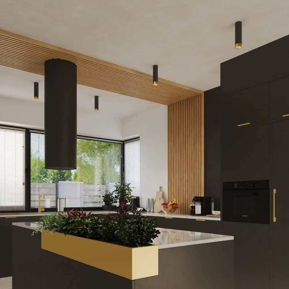 Осветително тяло за таван в черен и златист цвят Crown – Sollux