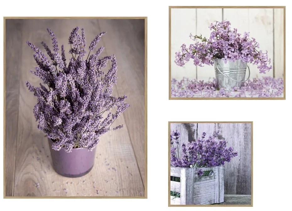 Картини в комплект 3 бр. 40x50 cm Purple Flowers – knor