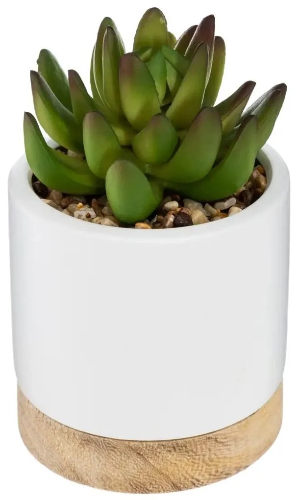 Изкуствено растение atmosphera Succulent, 12 cm, Различни видове