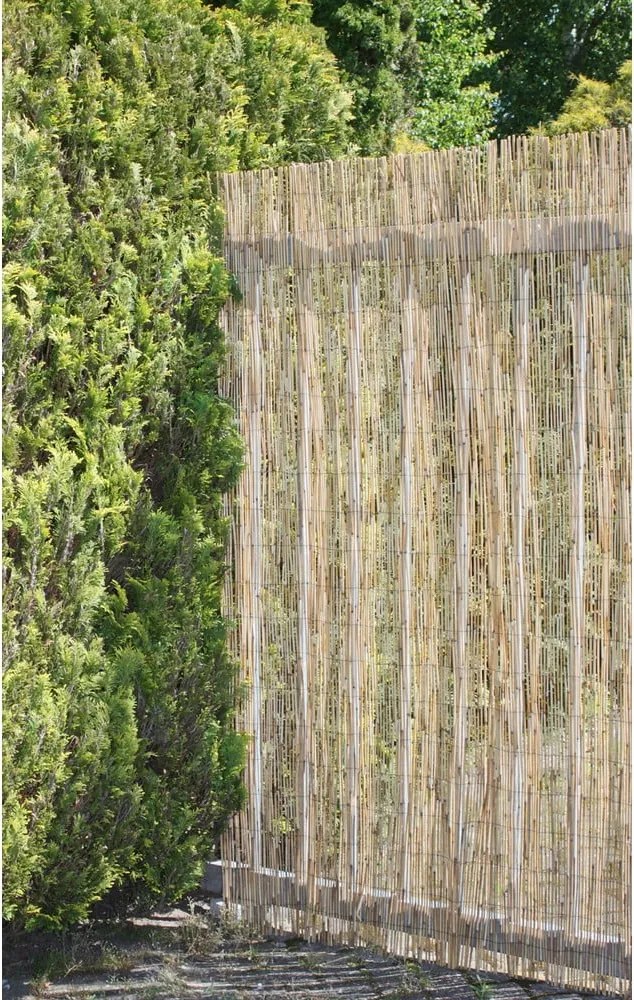 Балконски параван от плетеница в естествен цвят 300x200 cm – Garden Pleasure