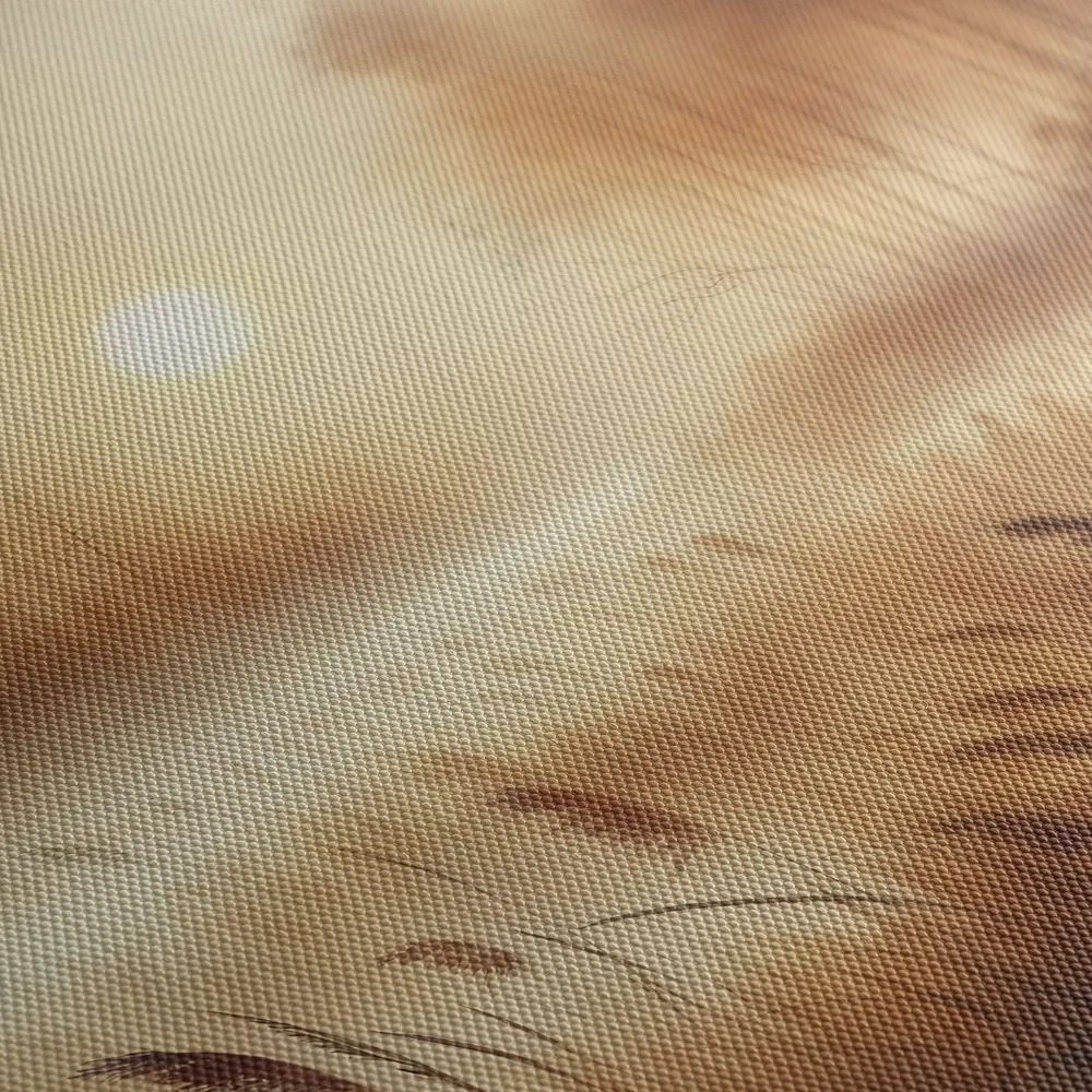 Картина на платно – Мъглив изгрев