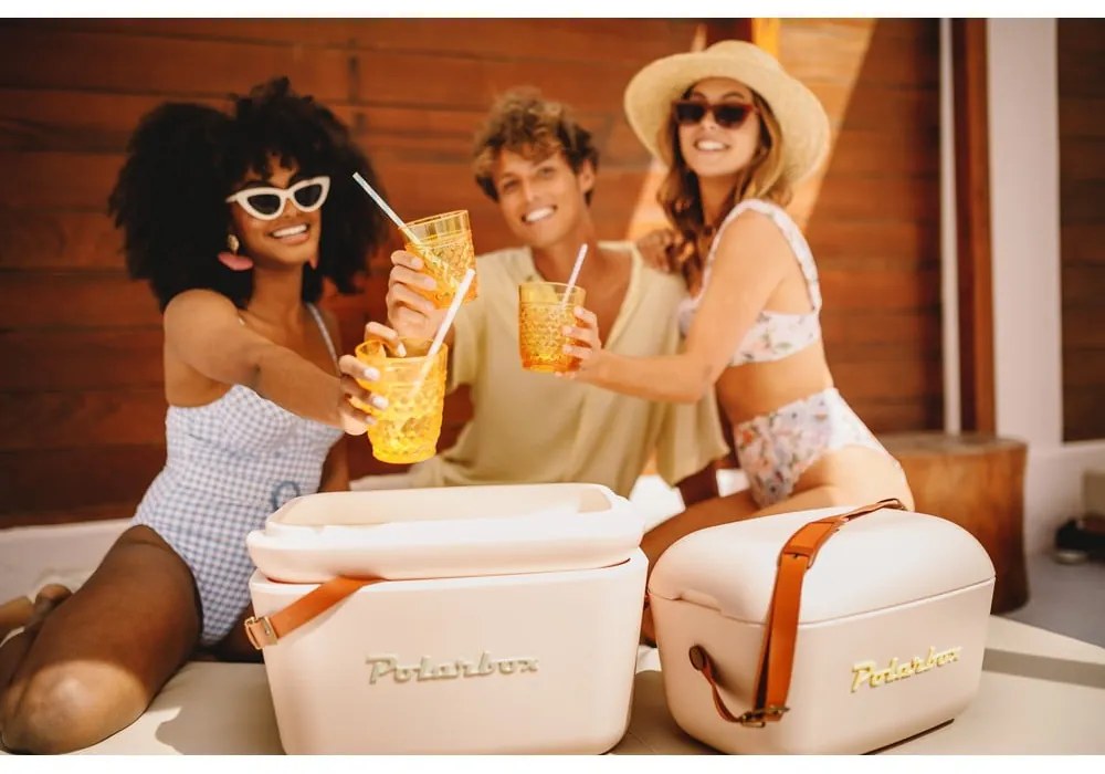 Хладилна чанта сиво-розова 12 l Classic – Polarbox