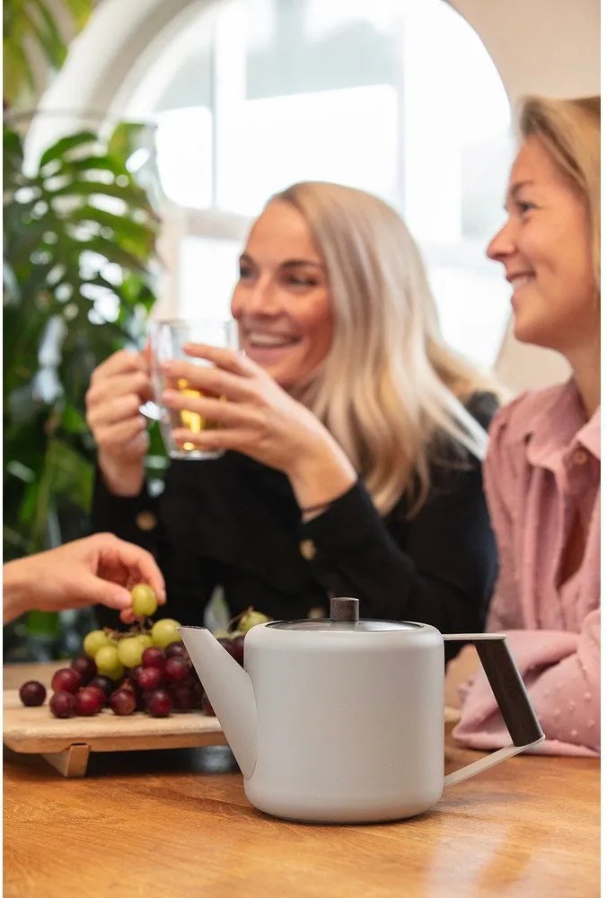 Бежов чайник от неръждаема стомана 1,1 l Duet Boston – Bredemeijer