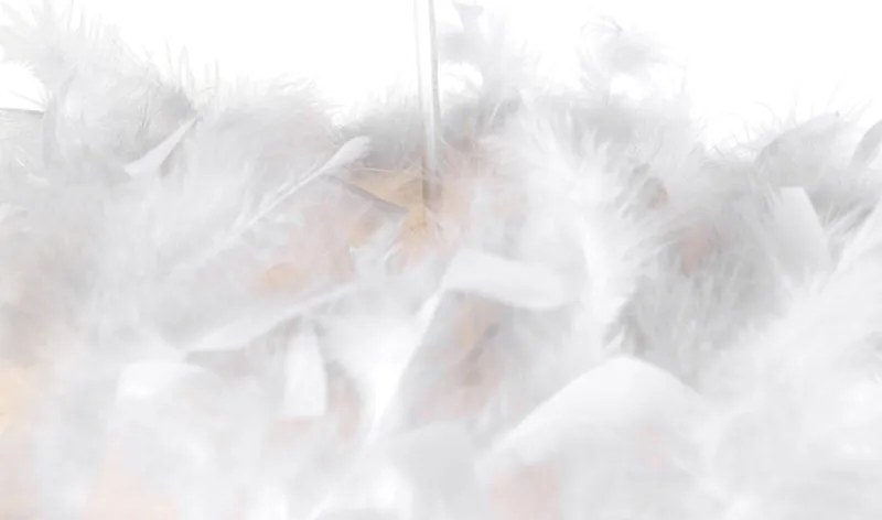 Висяща лампа в кънтри стил бяла с пера - Feather