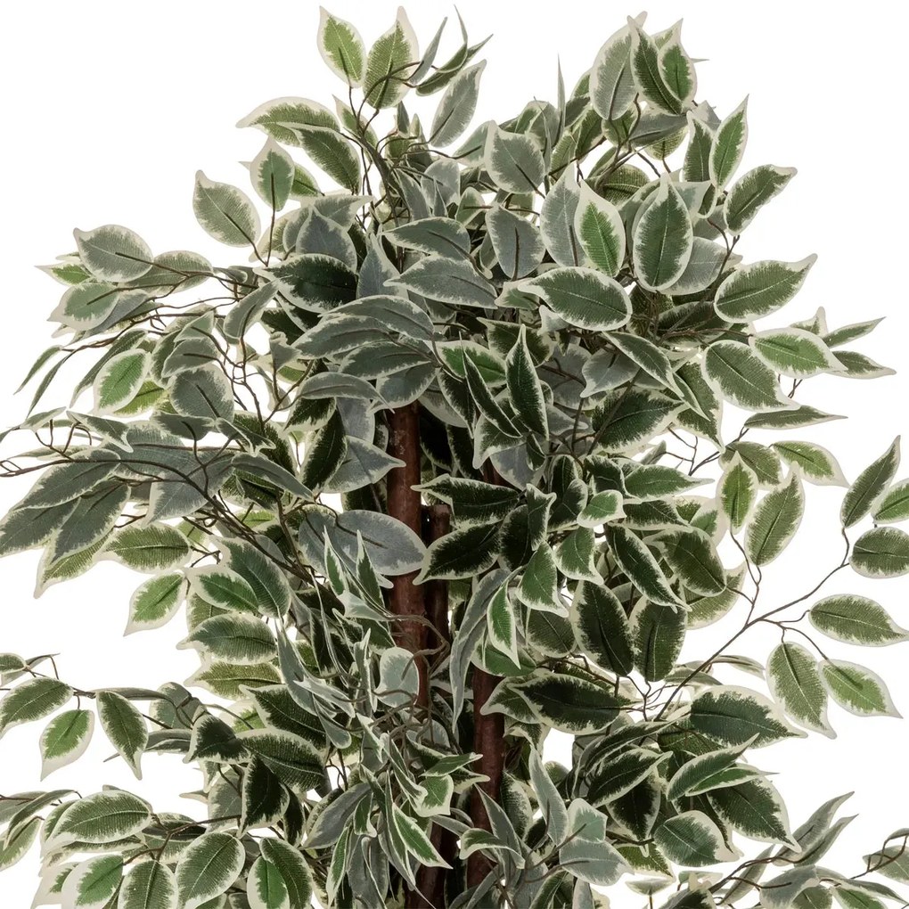 Изкуствено растение atmosphera Fig Tree, 180 cm, Двуцветно