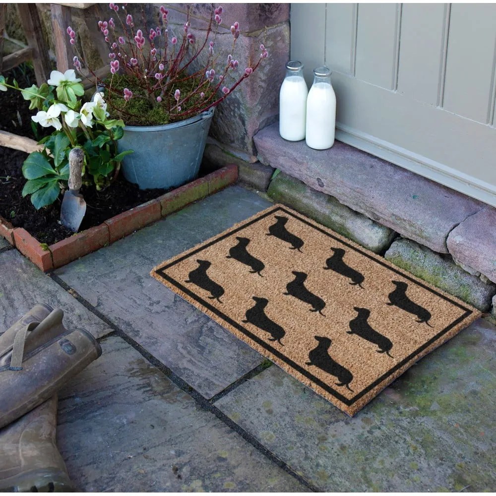 Изтривалка от кокосови влакна 40x60 cm Dachshund – Artsy Doormats