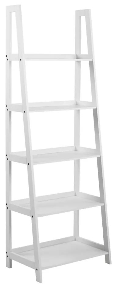 Библиотека DAMON бяла