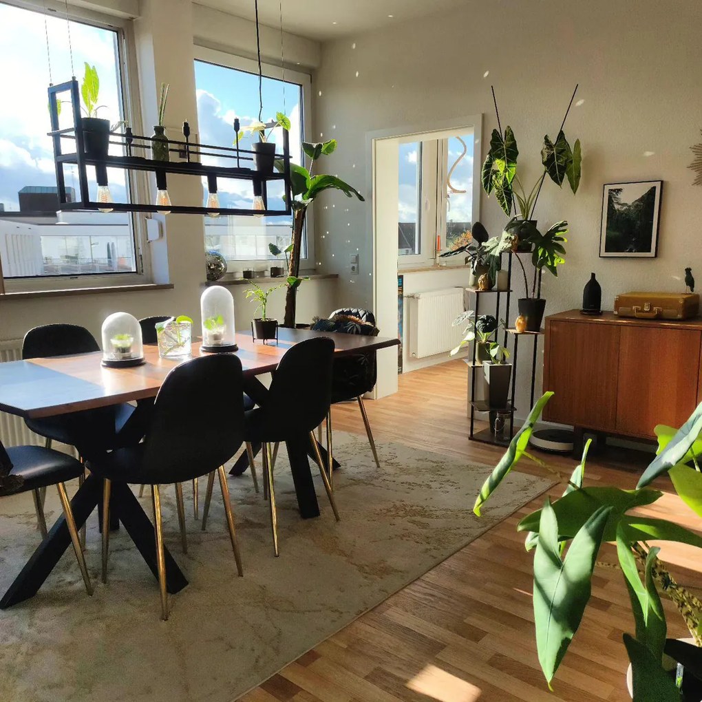 Индустриален висящ аплик черен с 4-светлинна стойка - Cage Rack