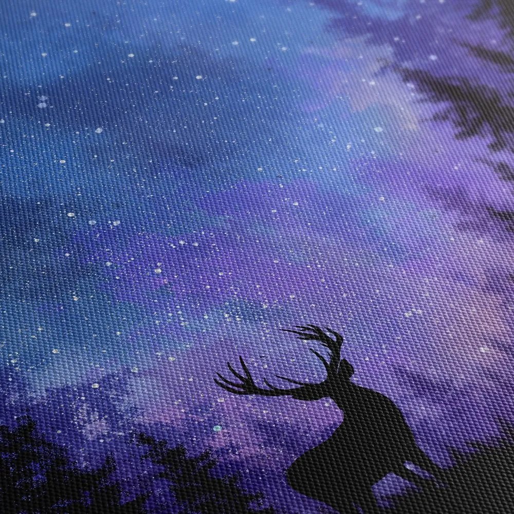 Картина на платно – Зимна магия на нощното небе в силуети