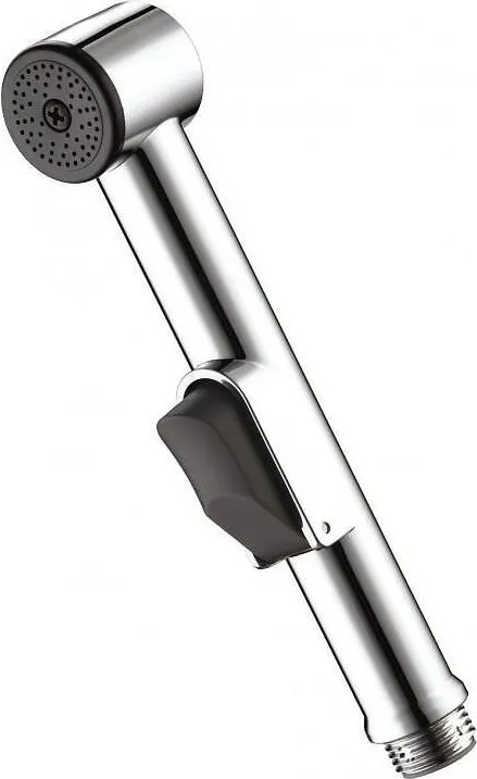Подвижна душ глава ICSP F1671305-1, хром, 1 функция