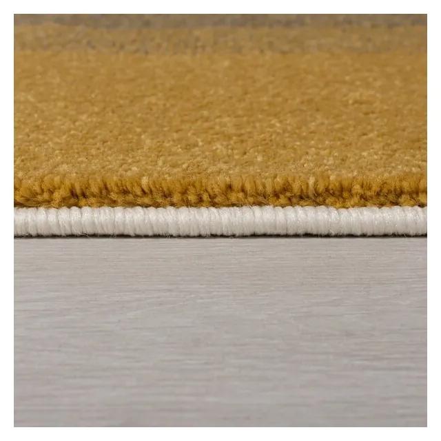 Сив и жълт килим , 120 x 170 cm Plaza - Flair Rugs