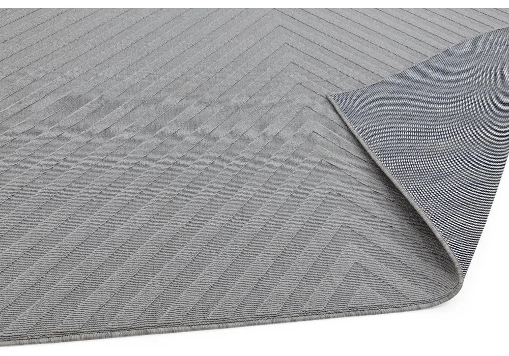 Светлосив килим , 120 x 170 cm Antibes - Asiatic Carpets