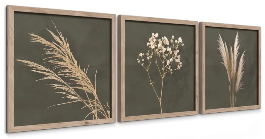 Картини в комплект 3 бр. 30x30 cm Pampas – Styler