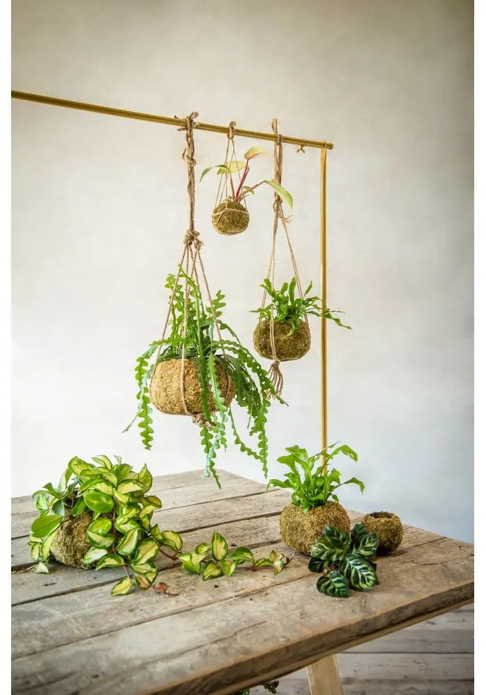 Саксия за цветя ø 9 cm Kokedama – Esschert Design