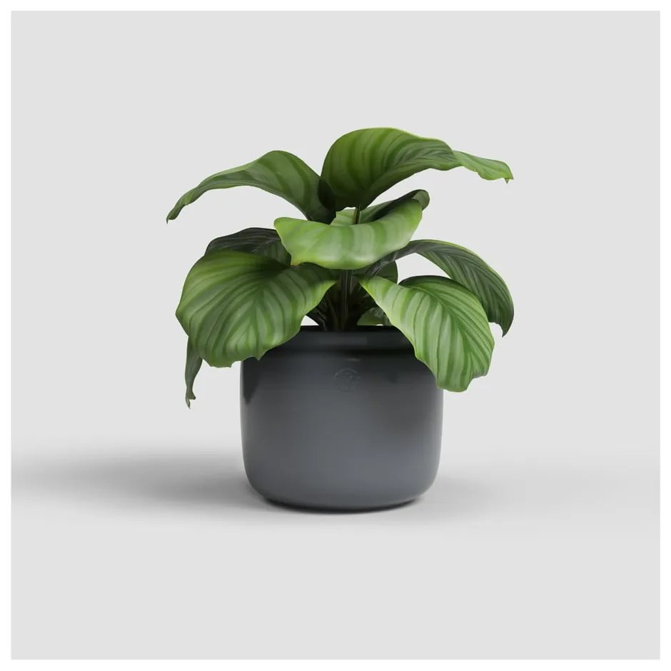 Керамична ръчно изработена саксия за цветя ø 20 cm Astrea – Artevasi