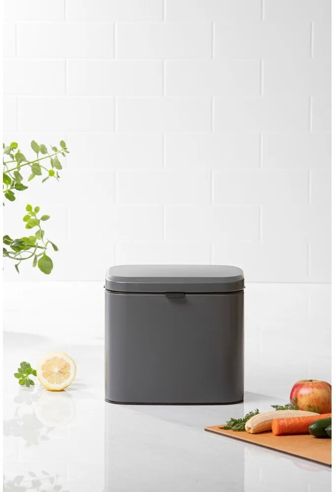 Тъмносив контейнер за компостируеми отпадъци 4 l Essentials – Ladelle