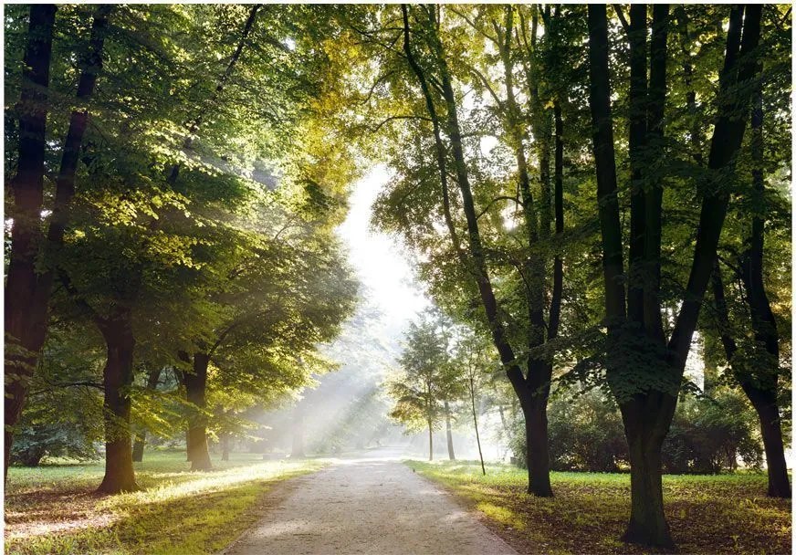 Самозалепващ се фототапет - Morning Walk - 245x175