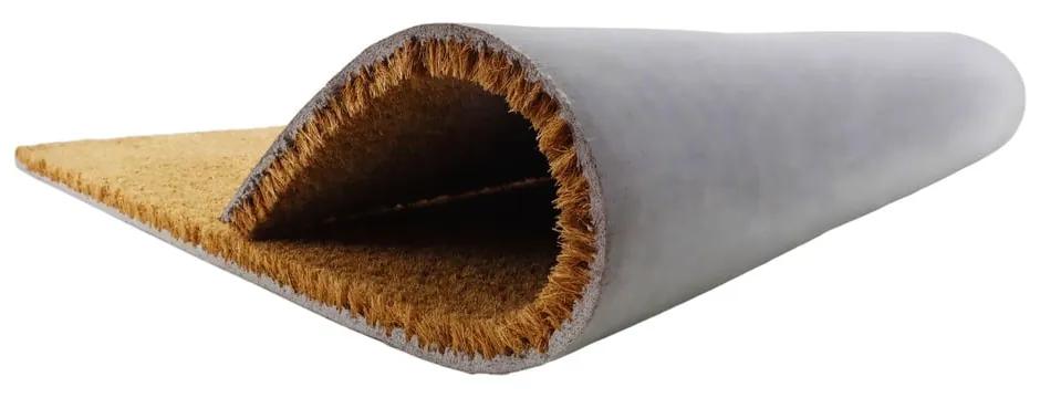 Рогозка от естествени кокосови влакна , 40 x 60 cm Zebra - Artsy Doormats